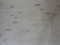 tekening detail